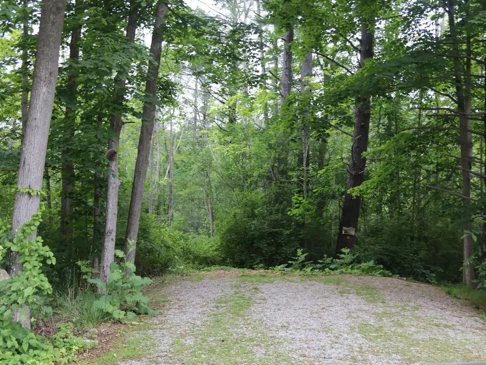Lower Bowker Woods parking.