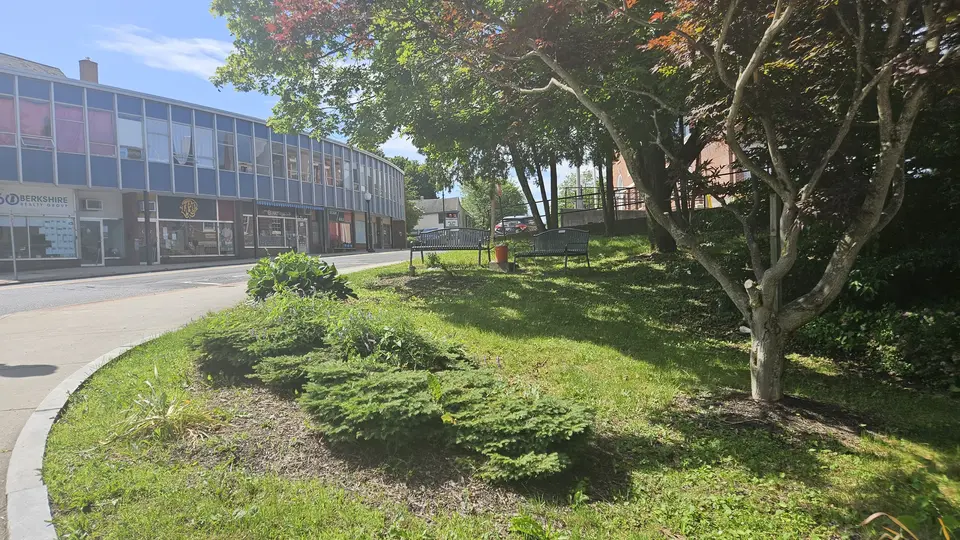 The park, with two benches in view.