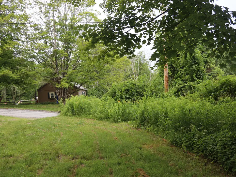 Maple Hill WMA parking area.