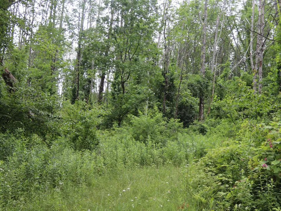 Entrance to Maple Hill WMA