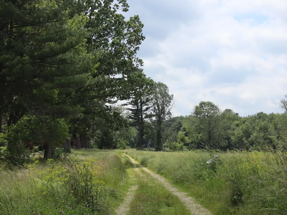 McAllister Park and Wildlife Refuge Trail.