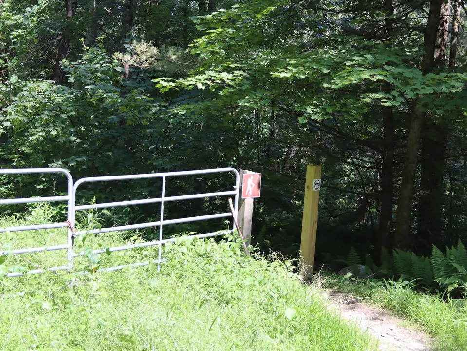 Mother Loop Trailhead in Alford, MA | Berkshires Outside