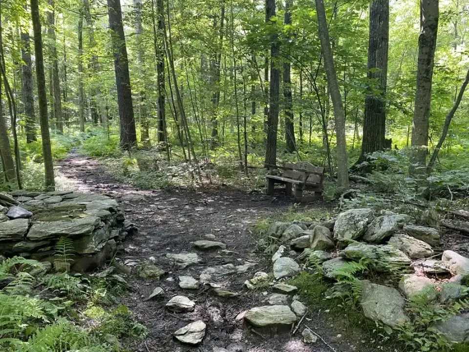 A bench alongside the Mothers Loop trail.