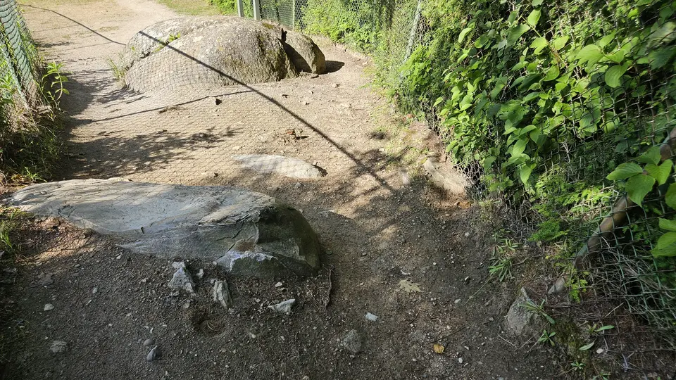 An example of the large rocks blocking the walking paths.
