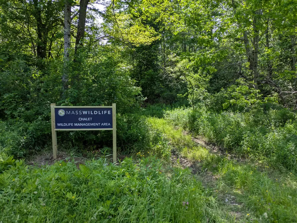 Entrance to Chalet WMA from North Street Parking Area 