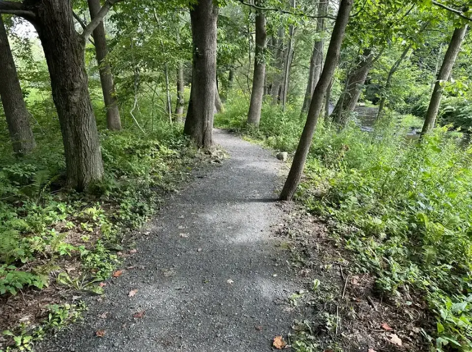 The accessible portion of the trail, which features a smooth slope over crushed gravel