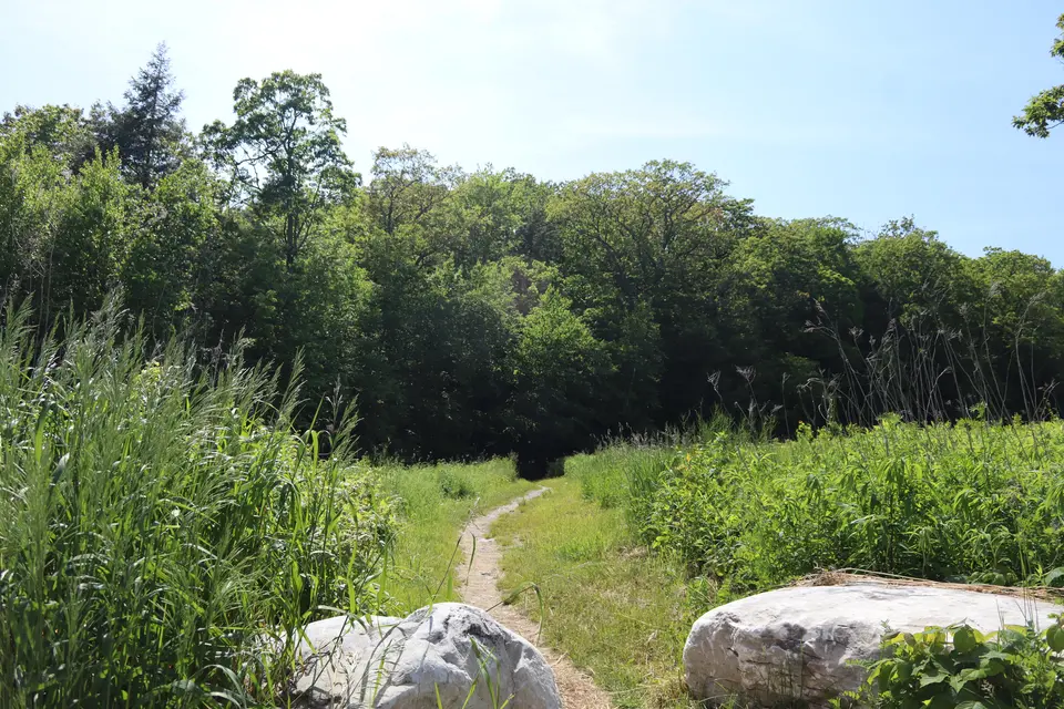 Entrance to the charcoal trail located right in the parking lot. 