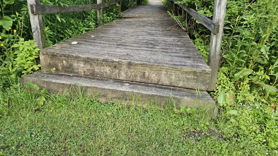 The 1' step onto the bridge between the parking lot and the park.