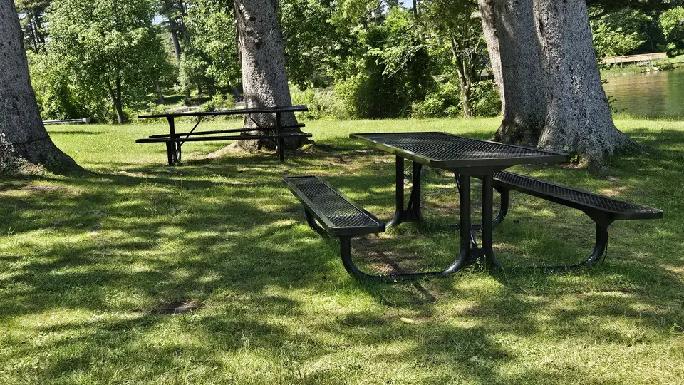 The picnic tables