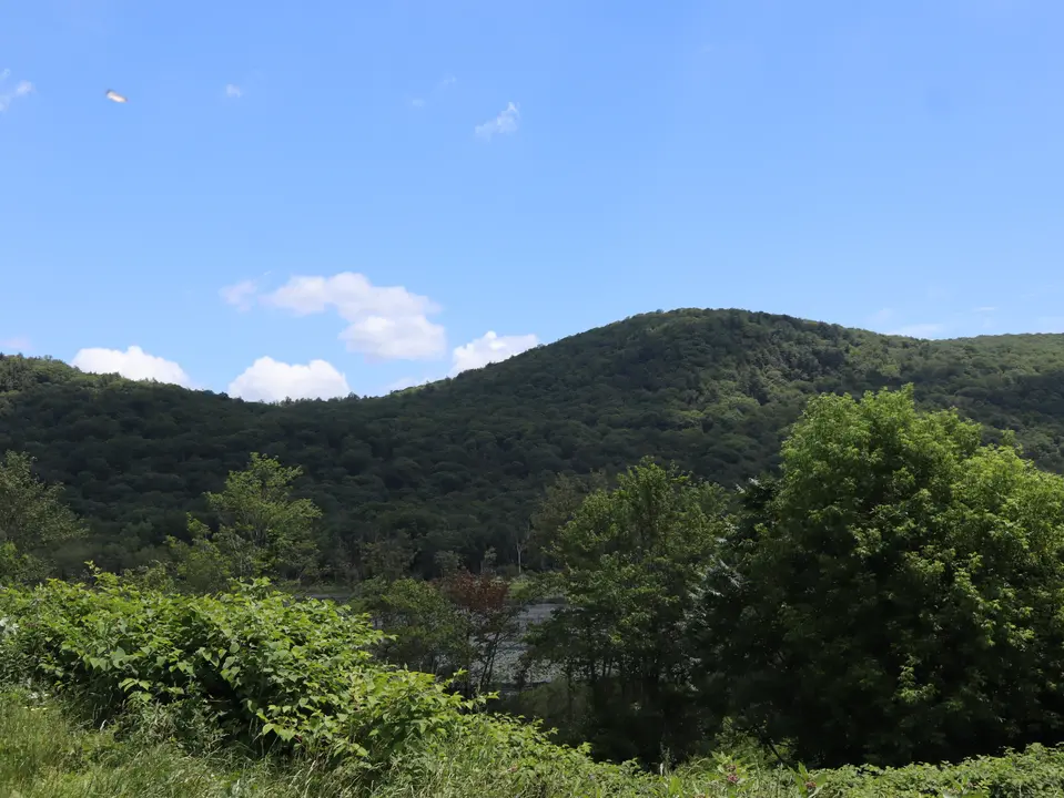 View of October Mountain from the Post Farm Parking area.