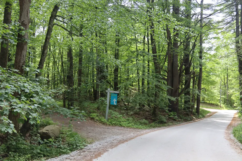 Entrance to the parking area for Questing Reservation off New Marlborough Hill Road.