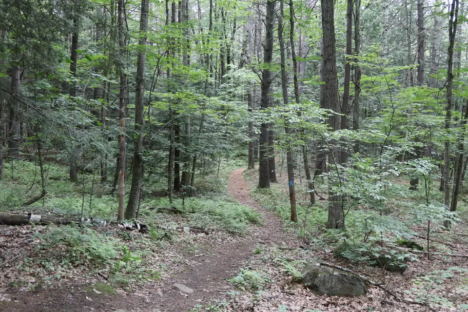 A section of the Clam River Loop trail.