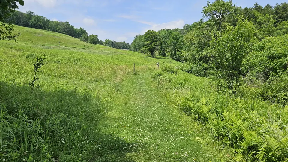 The grassy path leading up to Sheep Hill