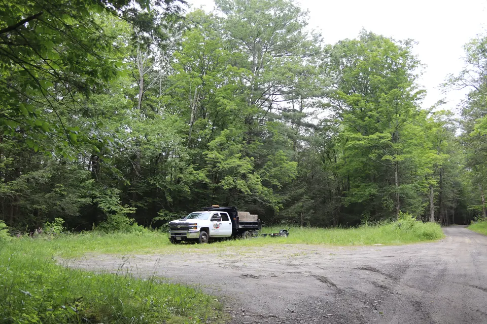 A gravel parking area sits to the left off Silverbrook Road, holding room for at least 4 cars.