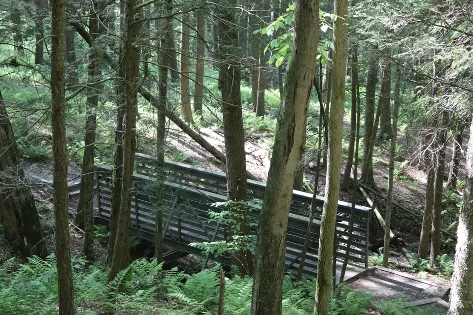 A wooden bridge crosses a stream on the Steven's Glen Trail.