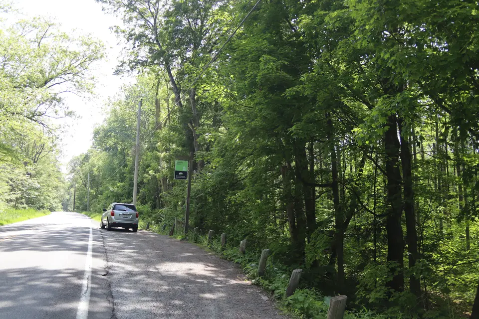 Parking for about 5 cars alongside Lenox Mountain Road at the Steven's Glen Trailhead.