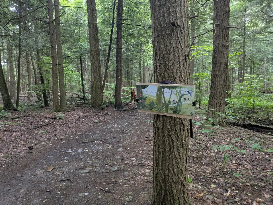 Informational sign
