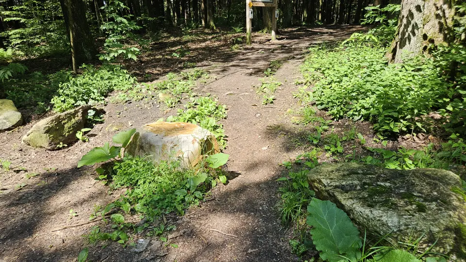 Incline up to the trailhead from the parking lot