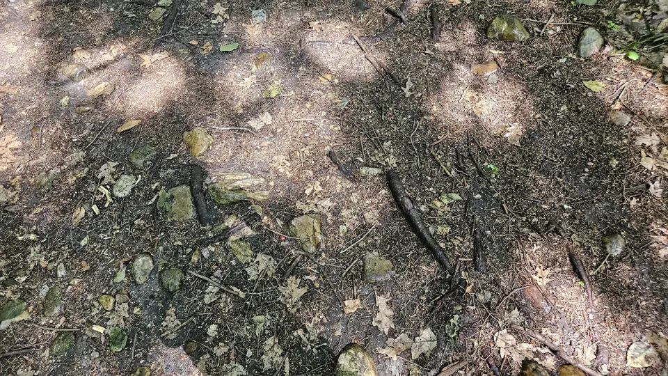 Close up of the path's material