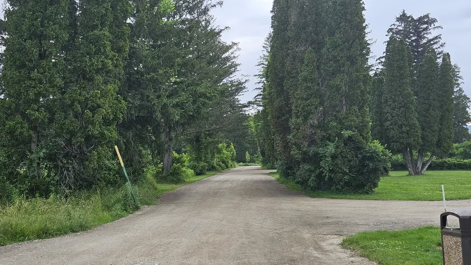 One of the dirt paths.