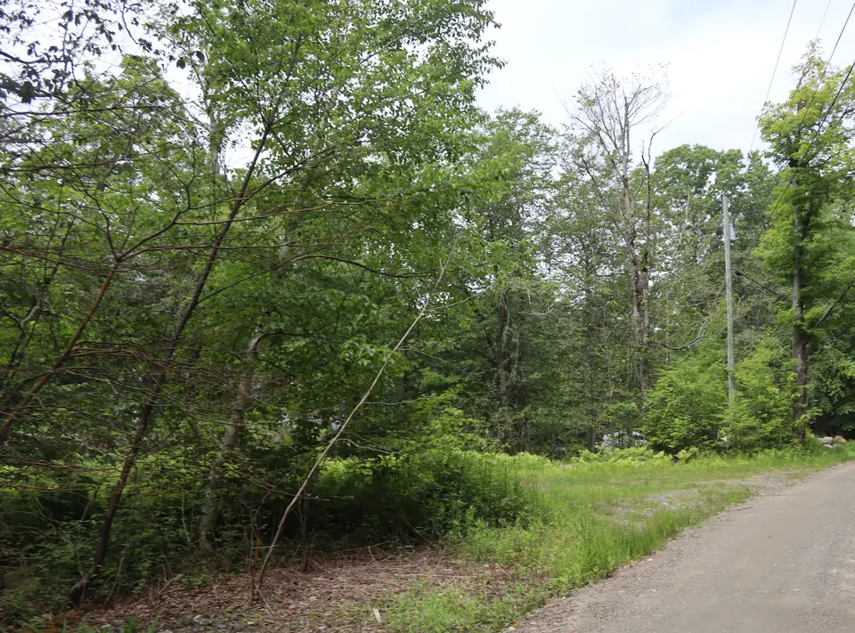 Thorpe Brook WCE entrance through a clearing (left) as seen from Clark Road.