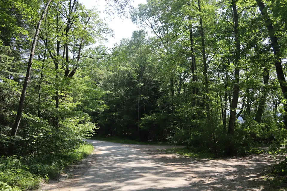 Thousand Acre Swamp Boat Launch in New Marlborough, MA | Berkshires Outside