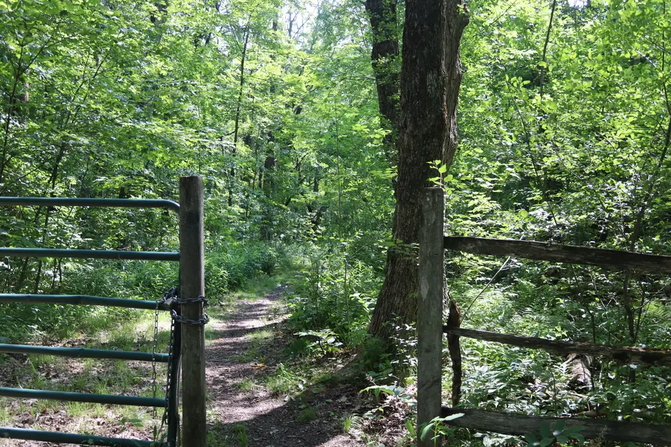 Entrance to the Thousand Acre Swamp trail through a narrow gate.
