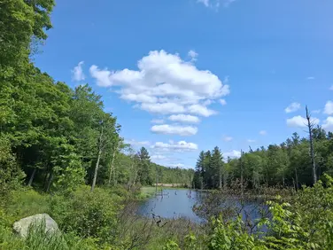 Headwaters Trailhead, Washington, MA