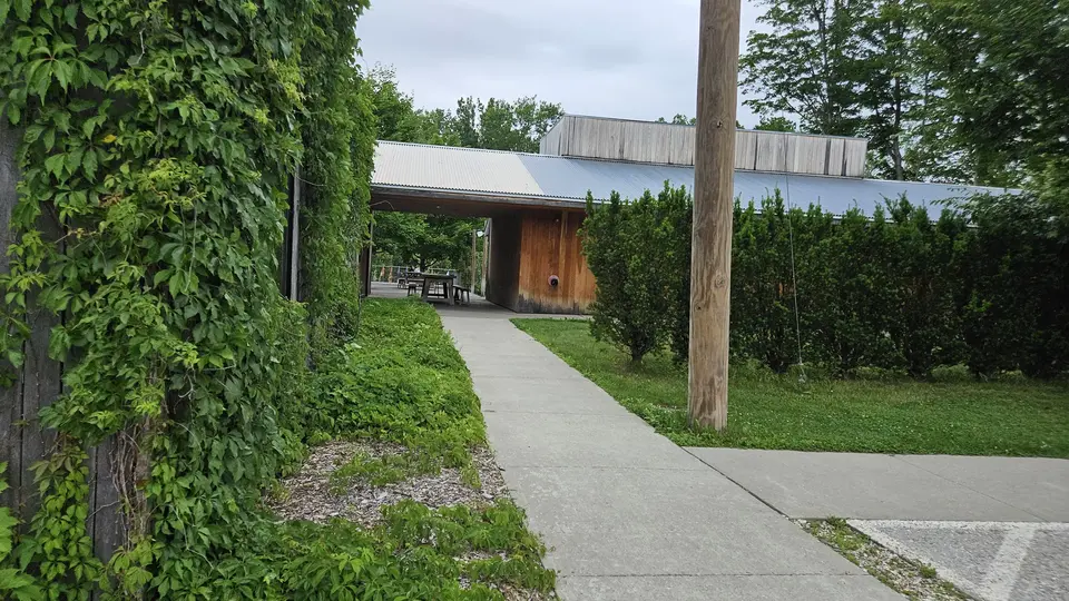 The paved path that leads indoors.