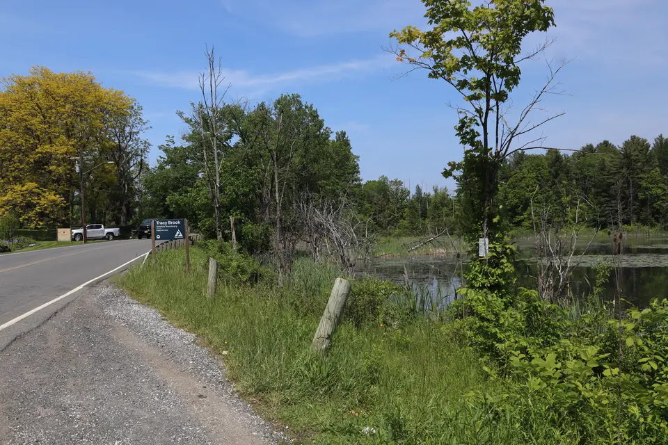 Pull-off for wildlife refuge parking, with Swamp Road to the left.