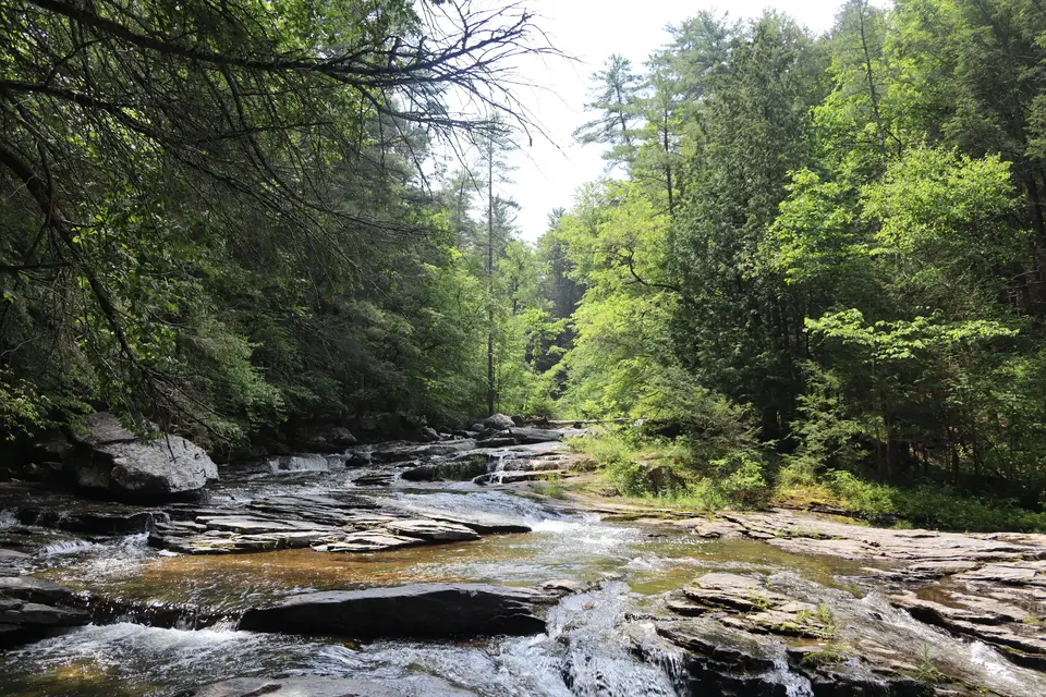 Upstream from the falls.