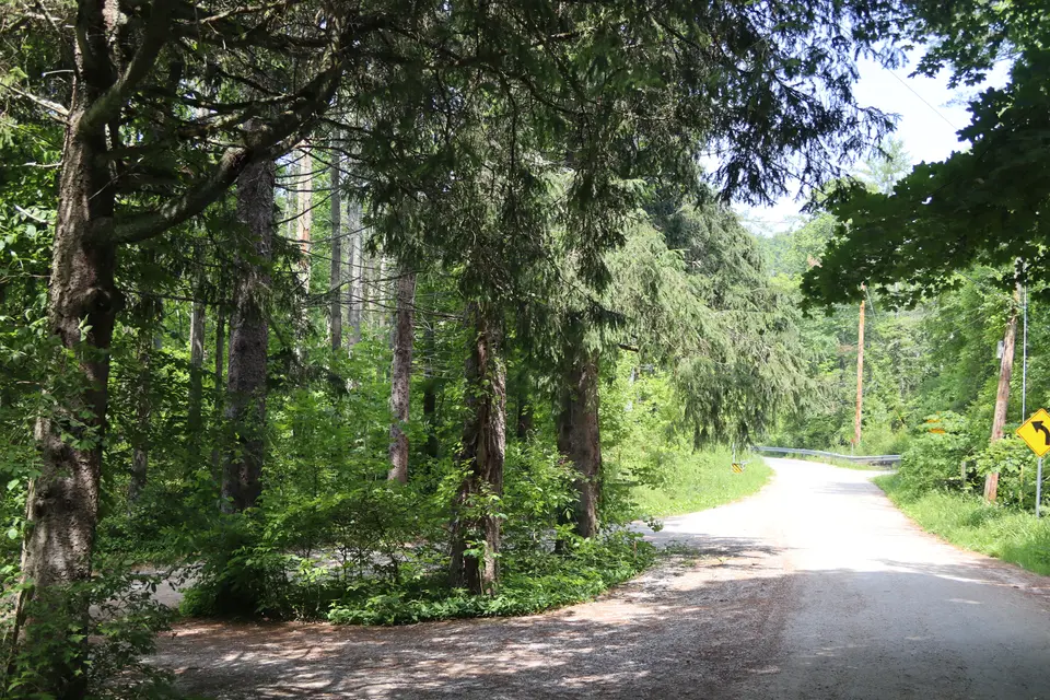 Entrance to Umpachene Falls Park (left), from Umpachene Falls Road.