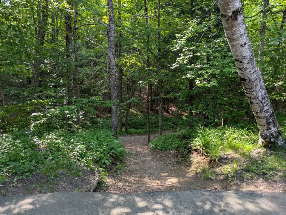 Trail entrance