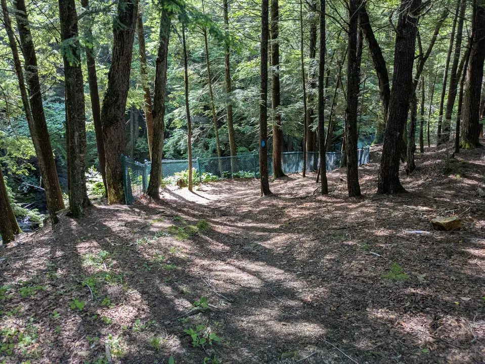 Trail entrance