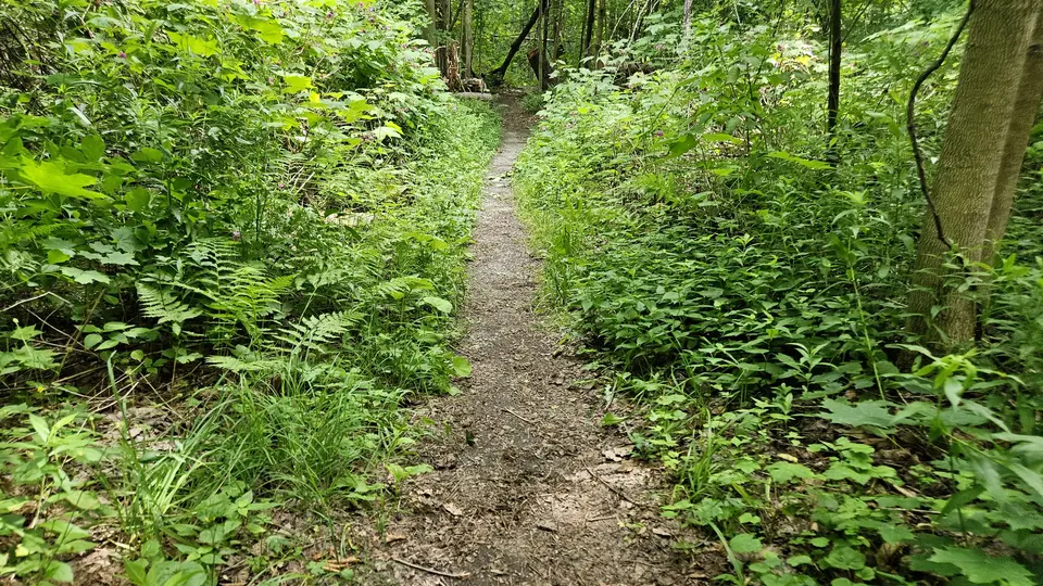 Appalachian Trail Trailhead - Pattinson Road in North Adams, MA | Berkshires Outside