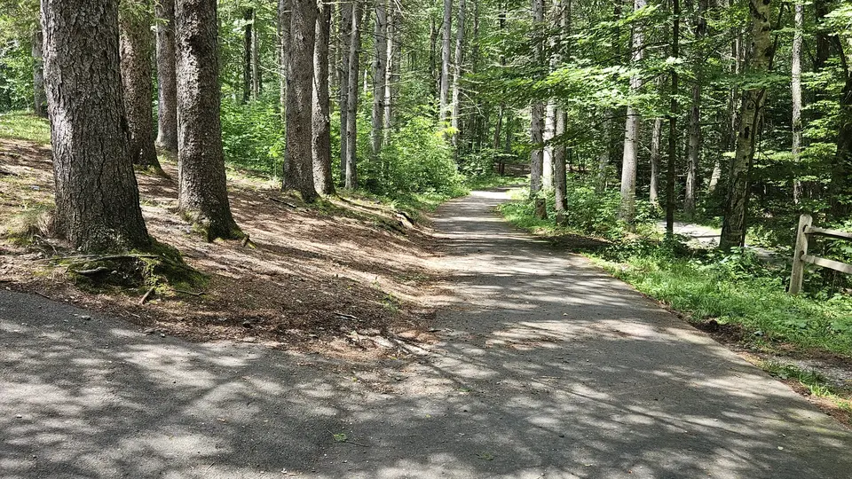 The paved path that connects the parking lot to the Balanced Rock area.