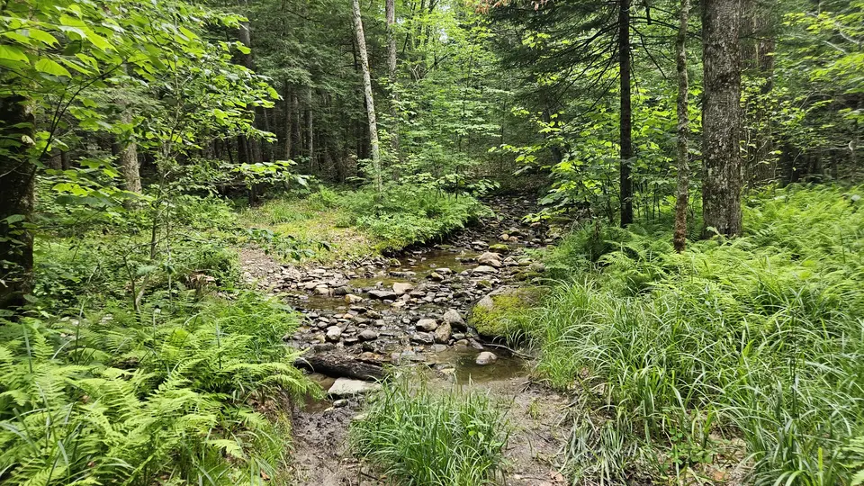 A stream that must be crossed in order to reach the Balanced Rock.