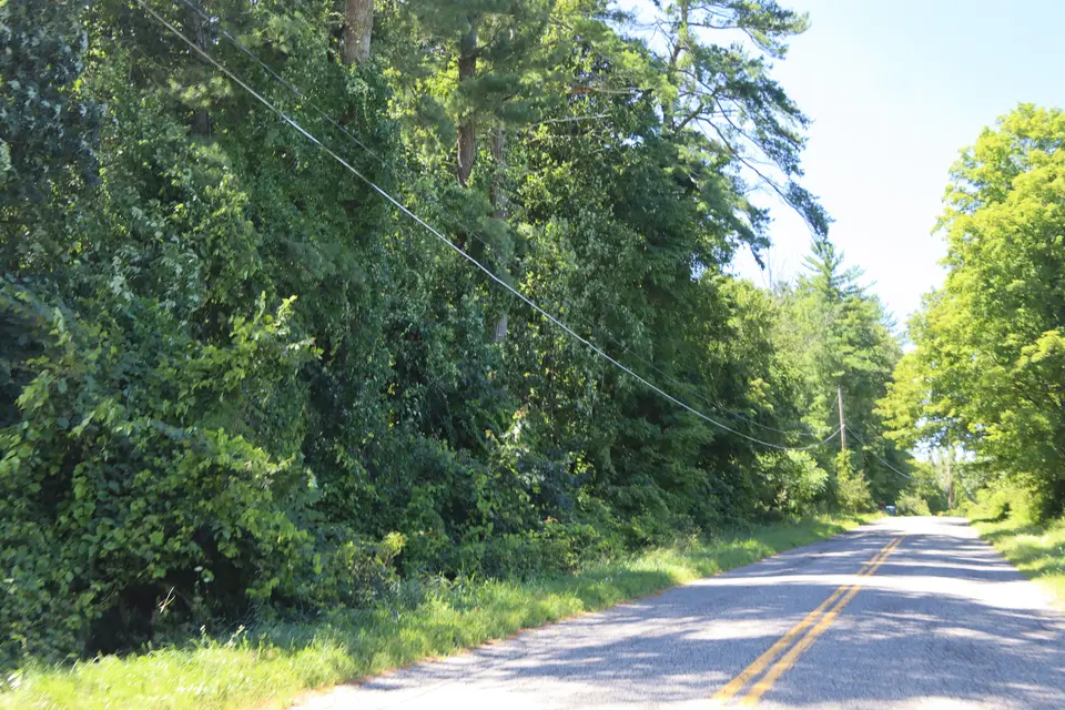 View of Barrett Woods East (left) off Seehonk Cross Road.