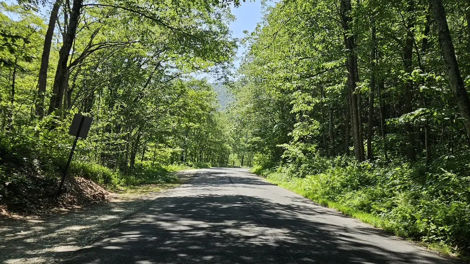 The gravel road that leads to the parking lot. Surrounded by trees.