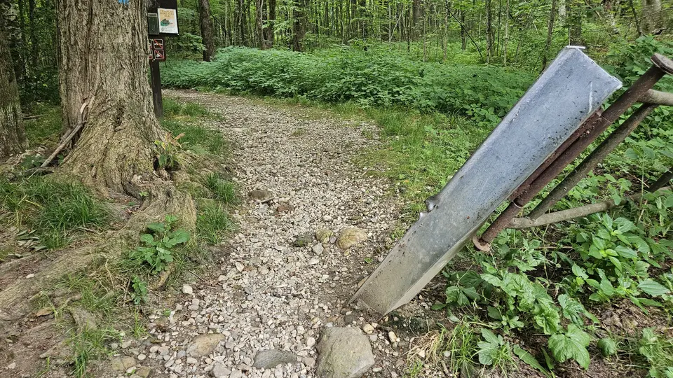 A 3 foot gap between a large tree and a fence at the trailhead.