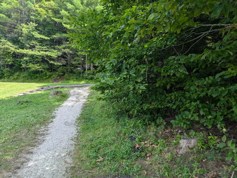 Rocky and rooted path leading to floating platform