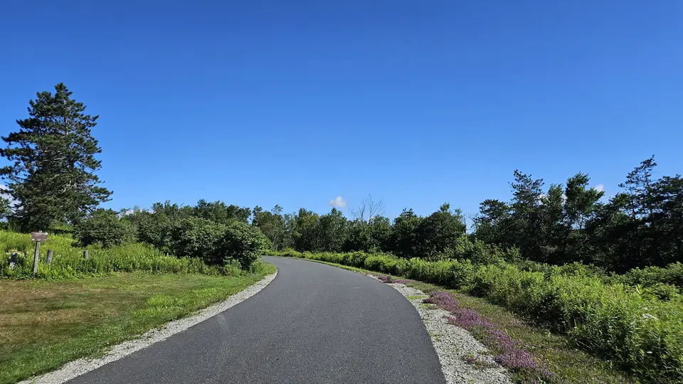 The paved road that leads to the parking area and pond.