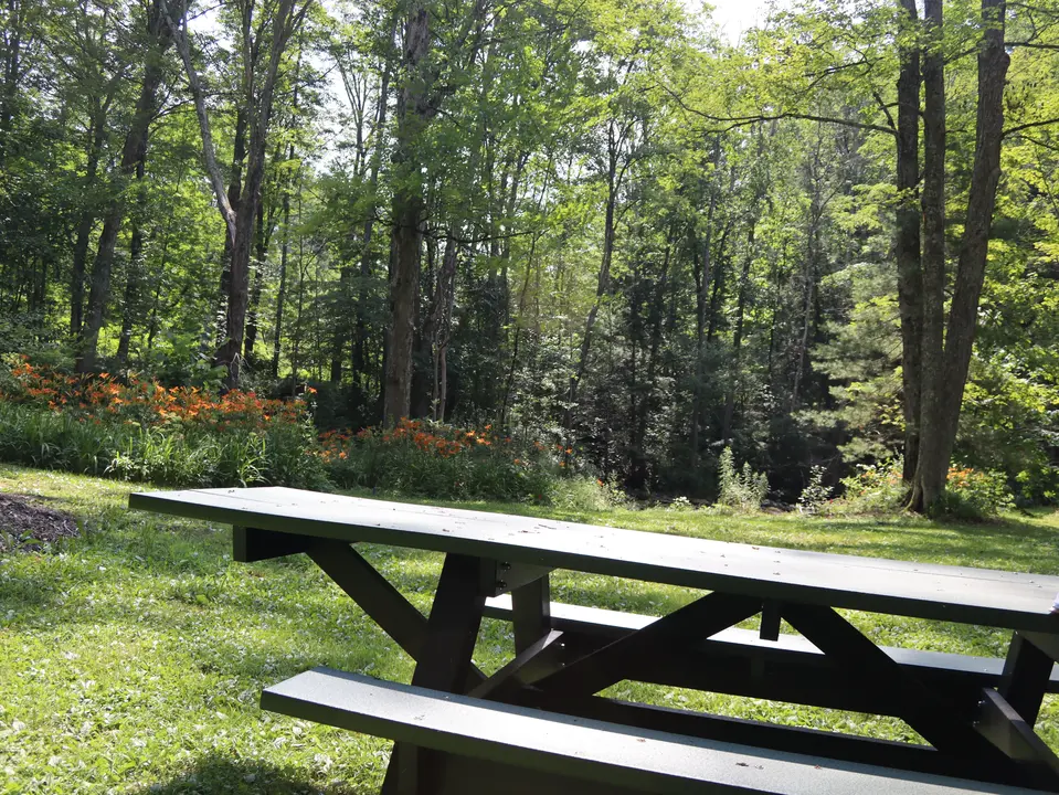 An accessible picnic bench sits in Bidwell Park.