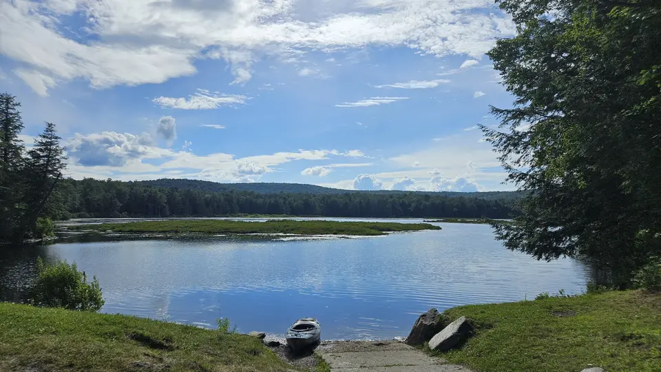 The pond, surrounded by green trees with an open blue sky above it.