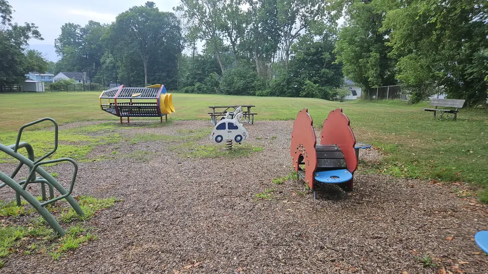 A playground in the grass.