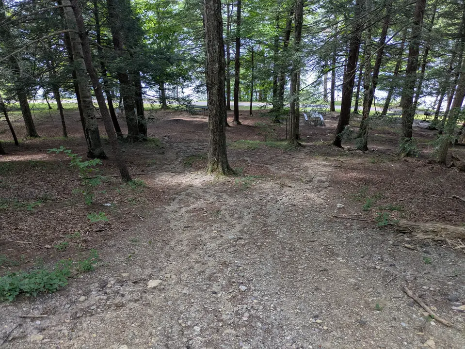 View of the hill the Burbank Park Picnic Area is on