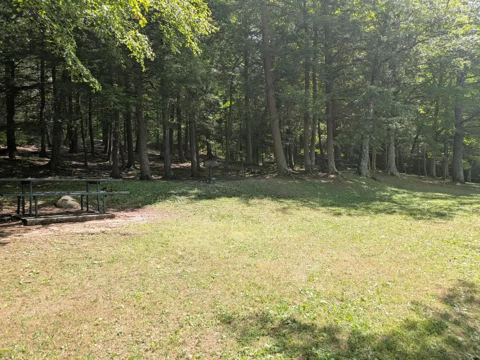 View of the Burbank Park Picnic Area