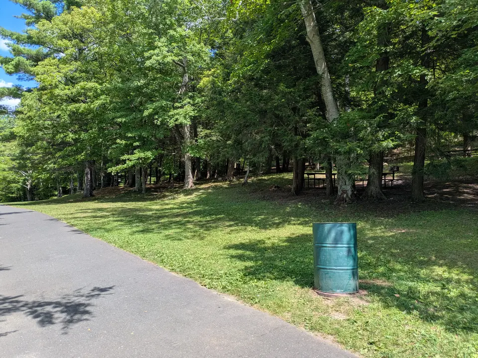 View of the Burbank Park Picnic Area from the Lakeway Drive multi-use trail