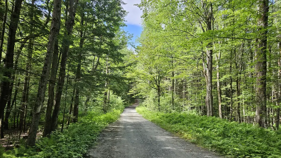 The dirt road that leads to the trail.