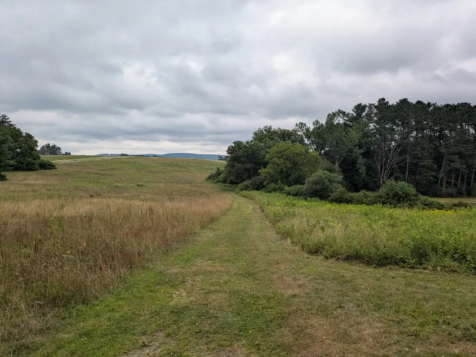 Grass trail leading into the meadows